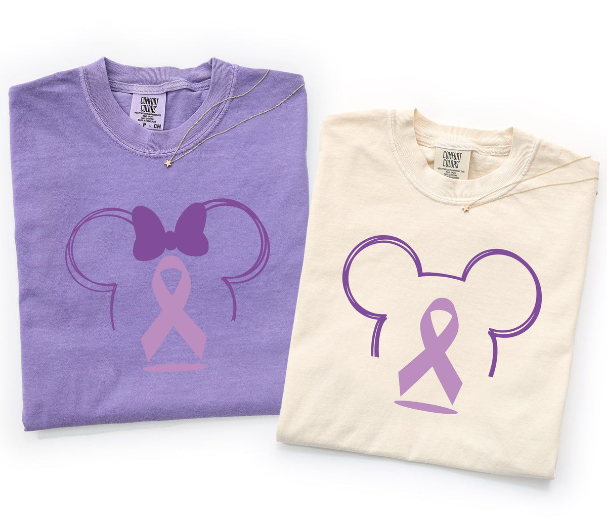 Disney Pancreatic Cancer DTF Transfer